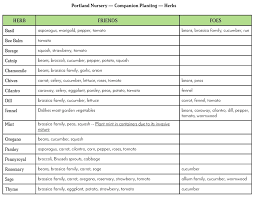 companion planting portland nursery