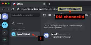 You can use a bot that stores all messages or take screenshots as soon as an inappropriate message appears. Delete All Your Messages From Dm Or Channel In Discord Github