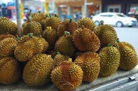 Buah durian ini diberi nama durian duri landak sempena dengan durinya yang kelihatan hanya durian kampung! Yuk Datang Besok Tersedia 6 000 Durian Murah Di Dagangan Madiun Madiunpos Com News Madiunpos Com