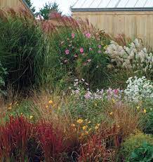 Whether you are looking to plant a container garden or transform a hillside, ornamental grasses make a great addition to any garden design. Designing With Grasses Finegardening