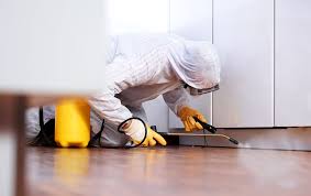 Andy has 1 job listed on their profile. 4 Benefits Of Hiring A Pest Control Company Catcubed