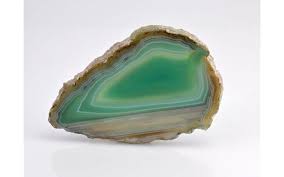 Joel Andre Ranieri Obituary (2024)