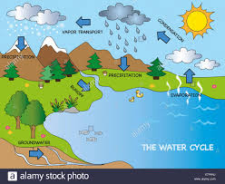 Water Cycle Diagram Stock Photos Water Cycle Diagram Stock