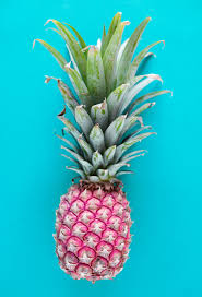Image result for Ananas