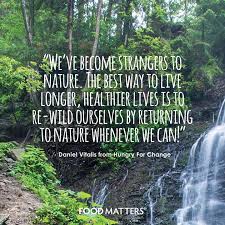 Food Matters Food Matters S Photos Facebook Food Matters Nature Quotes Science And Nature