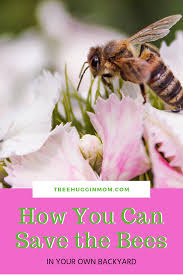 Joel valenzuela is a journalist and writer specializing in crypto, as well as a dash public outreach director. 77 Nature News Ideas In 2021 Nature Education Thought Provoking Nature