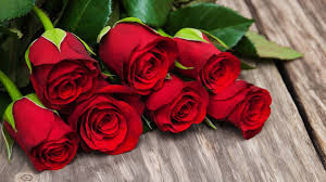 Anda pasti tidak lagi asing dengan bunga mawar. Tenyata Bunga Mawar Bisa Melembabkan Kulit Hingga Meredakan Depresi