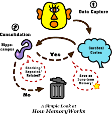 Smart Learning Techniques That Turbocharge Your Memory Learning Techniques Memories Memory Words