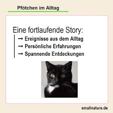 Erst bei starkem befall, wenn die würmer schon sehr schädlich für die gesundheit der. Weihnachtsbaum Giftig Fur Katzen Gefahren Zu Weihnachten