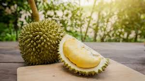 Dalam budidaya tanaman durian kadang kita menemui tanaman kita proses pertumbuhannya terhambat kadang proses. 5 Makanan Yang Harus Dihindari Saat Mengonsumsi Durian Lifestyle Fimela Com