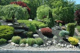 Rock Garden With Interesting Choice Of Conifers Http Mostbeautifulgardens Com Rock Garden With Interesting C Conifers Garden Rock Garden Design Rock Garden