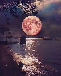 Check spelling or type a new query. Polubienia 17 2 Tys Komentarze 32 Artistic Network Artistic Bros Na Instagramie Beautiful Shot Good Night Moon Beautiful Moon Nature Photography