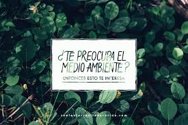 Resultado de imagen para imagenes para sensibilizar alas personas sobre la contaminacion del su