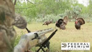 Check spelling or type a new query. Turkey Hunting Secret Decoy Tricks That Drive Gobblers Insane On Make A Gif