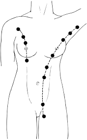 But get a new one checked out, especially if it sticks around for longer than a couple of weeks. Breast Care 1 The Normal Breast