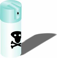 Termites as pests can be a nuisance if they enter your home. Diy Pest Expert Spray Is It Safe For My Family And Pets