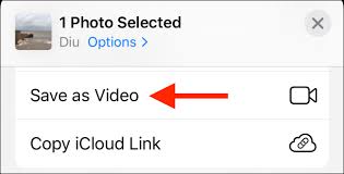 Launch your photos app and choose a live photo that you want to share. How To Convert Live Photos To Videos Or Gifs On Your Iphone