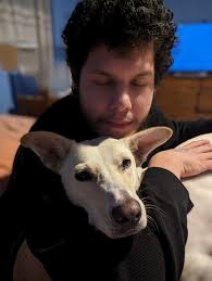 Why hugging dogs around the neck is stressful for them