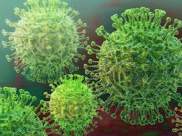 Fda issues policies to guide medical product developers addressing virus variants. Reliable Sources For Coronavirus Info Cedars Sinai
