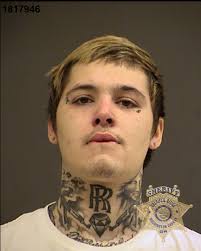 Five arrested after child, injured dog found in 'deplorable' conditions at  Aloha home