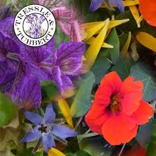Buy flower, vegetable and plant seeds from chiltern seeds. Rare Annual Edible Flowers Annual Flowers Mixed Seeds Uk Seller Annual Flowers Edible Flowers Flowers