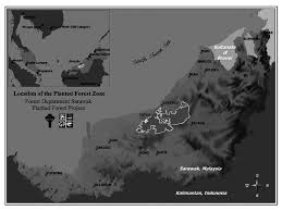 Dikehendaki membuat bayaran cukai tambahan (dan cukai asal sekiranya. Location Of Planted Forest Zone Within Bintulu Division In Sarawak Download Scientific Diagram