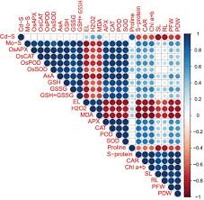 Costul real pentru crearea unui site web este un mister pentru majoritatea dintre noi. Biomolecules November 2020 Browse Articles