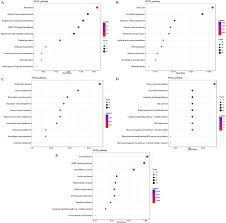 frontiers integrated whole transcriptome profiling and