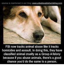 Dog Abuse Meme 35 Images 25 Best Memes About Abuse Abuse Memes High Five If You Support Maximum Penalty For Animal Abuse Also Got Charged For Animal Abuse