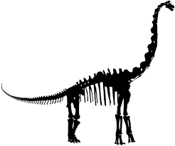 Find & download free graphic resources for dinosaur. Dinosaur Outline With Skeleton Novocom Top