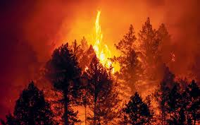 We did not find results for: Fwtia Sthn Kardia Twn Ampelwnwn Ths Napa Sthn Kalifornia H Ka8hmerinh