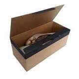 Aku ialah sepasang kasut sukan yang berjenama nike. 8 Kotak Kasut Ideas Life Hacks Youtube 3 Simple Life Hacks Diy Laser Cutter