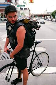 bike おしゃれまとめの人気アイデア pinterest pedro padilha 自転車 ピストバイク ピスト