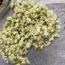 The san francisco bay area is unusual, for a major metropolitan area, in having ready access to rural and wilderness areas, as well as major urban parks. Swadeshflowers Swadesh Flowers San Ramon Ca Swadesh Facebook