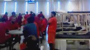 It was based on the bassline of under pressure by british band queen and british. Lawsuit Ice Breaks Cdc Guidelines In Fl Detention Centers Miami Herald