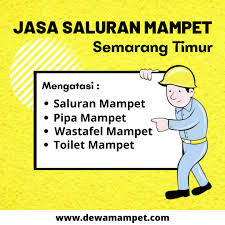 We did not find results for: Jasa Saluran Mampet Semarang Mampetsemarang Twitter