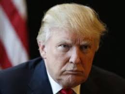 Natalie Hollingshead