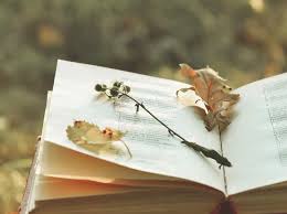 Kondolenzbuch: Definition, Beispiele, Inhalt, Sprüche und mehr - Flora  Grabmale Rhein-Main