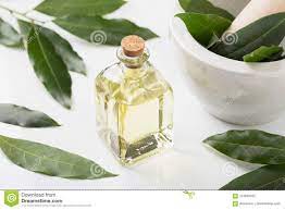 Bay Laurel Essential Oil On White Background Stock Image Image Of Leaf Alternative 124849763 Essential Oils Oils Remedy Spa
