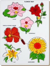 Play numerous stock puzzles alongside user generated puzzles with our friendly gameplay and fun features. Wooden Flower Tray Puzzles Cartoon Puzzle à¤ªà¤¹ à¤² à¤• à¤– à¤² In Banashankari Stage 3 Bengaluru Kids Montessori World Id 4935155291
