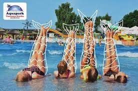 Aquapark w jarosławcu nad morzem. Mcg 319d2ecjwm