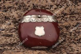 Image result for Entada gigas