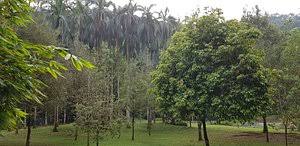 We did not find results for: Bukit Kiara Park Kuala Lumpur 2021 All You Need To Know Before You Go With Photos Tripadvisor