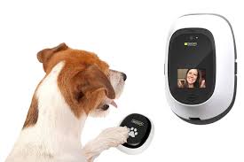 As pet parents, there's been countless times where we've wanted to know how harley managed to get stuck in the trash or eat our leftovers. The Best Smart Pet Cameras And Dispensers For 2020 All Home Robotics
