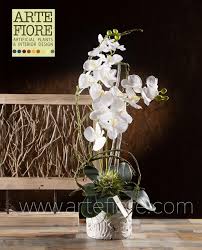 Scegli la consegna gratis per riparmiare di più. Pin Su Idee Fiorite