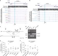 Maybe you would like to learn more about one of these? Identification Of A Genomic Enhancer That Enforces Proper Apoptosis Induction In Thymic Negative Selection Nature Communications