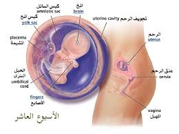 Pin On Baby