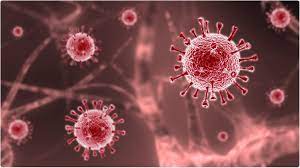 Delta variant gains steam in undervaccinated u.s. Why Sars Cov 2 Delta Variant Is More Infectious