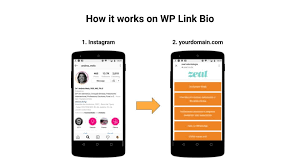 We love how she uses linktree to send followers to her store, youtube channel, and booking page. Best Linktree Alternative For Wordpress Wp Link Bio