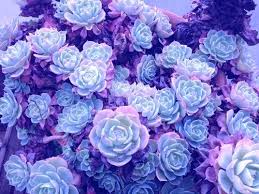 Purple glass flower earrings aesthetic earrings trending. Aesthetic Flowers On Twitter Purple Is My Favourite Colour